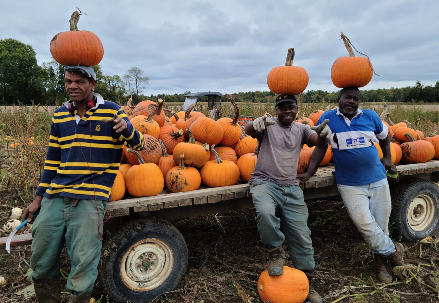 <p>Hagerman Farms Jamaican workers Johnny, Coco and Clifford ham it up during pumpkin harvest at the produce farm west of Picton last fall. (Hagerman Farms/Facebook photo)</p>
