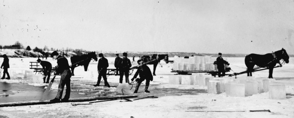 <p>Ice cutting activities on Picton Harbour in the early 1900’s. (Marsden Kemp/Archives of Ontario)</p>
