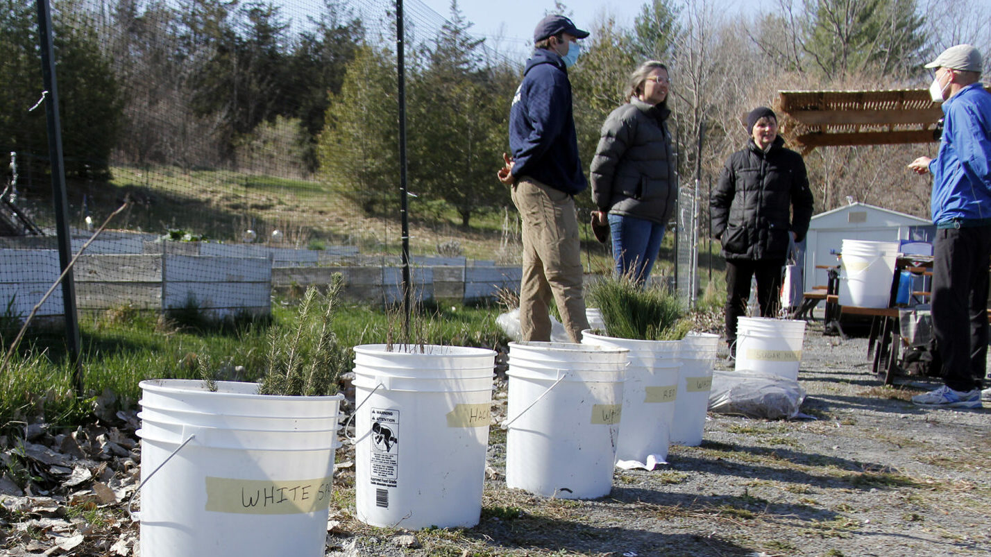 <p>(Desirée Decoste/Gazette staff)</p>
