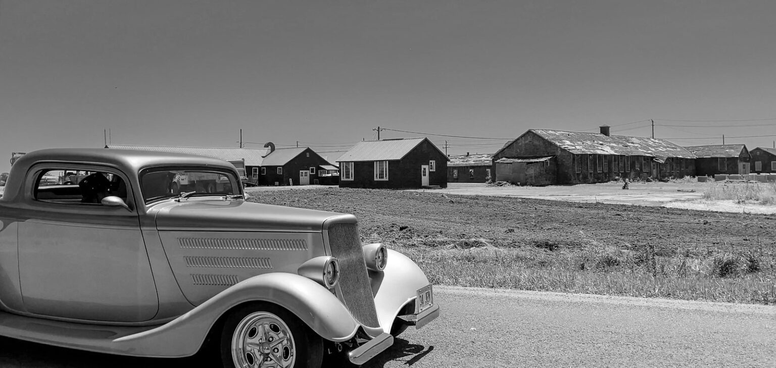 <p>(Phil Norton/County Photographer)</p>
