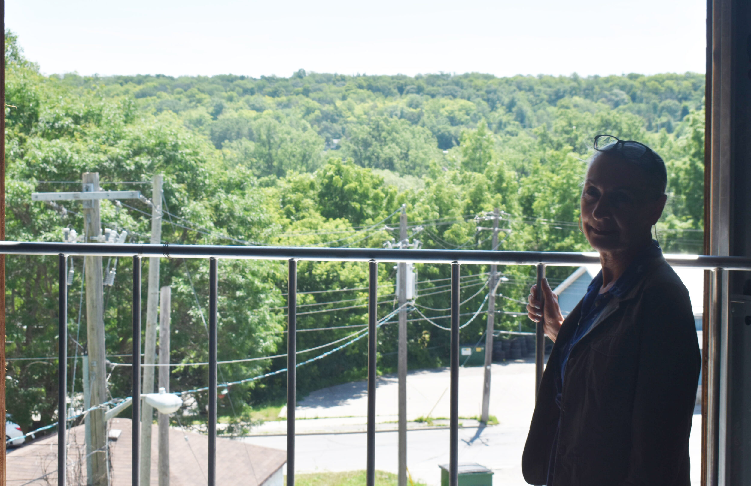 <p>County of Prince Edward Head Librarian Barb Sweet inside the Picton Library Expansion Project where a large picture window overlooks Delhi. (Jason Parks/Gazette Staff)</p>
