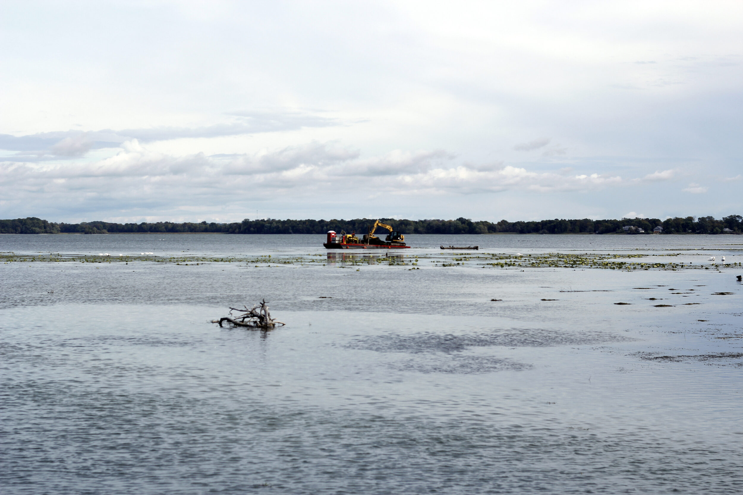 <p>(Desiree Decoste/Gazette Staff)</p>
