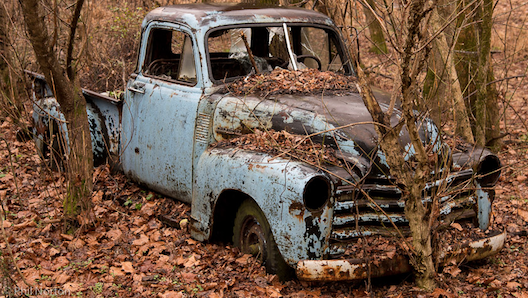 <p>(Phil Norton/County Photographer)</p>
