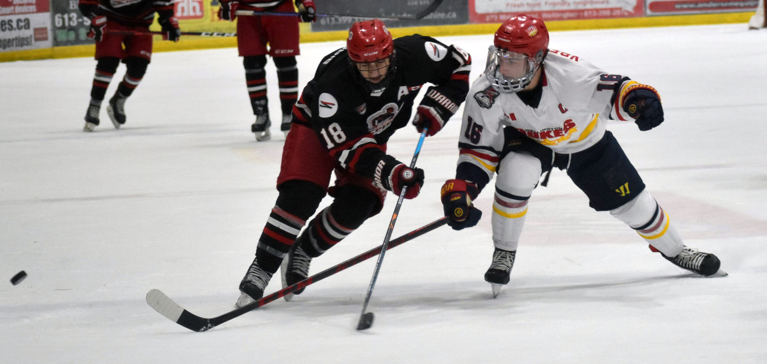 <p>Wellington Duke Jacob Vreugdenhil keeps Peter Kioussis in his sights during the club’s 4-1 win at Lehigh Arena Friday night. (Jason Parks/Gazette Staff)</p>
