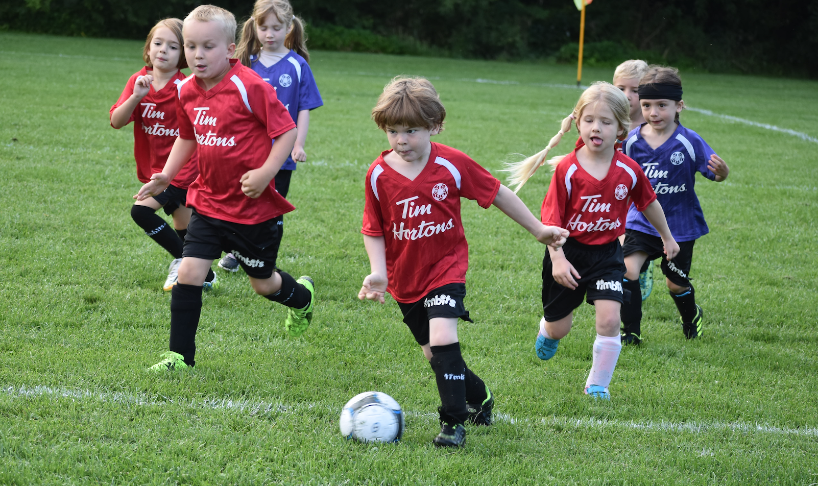 <p>DETERMINED Timbit Red’s Emmet Goat leads the attack as Paul VanHaarlem and Iris Burt support the U6 ball dribbler at the 2023 PECSA year-end soccer festival.  (Jason Parks/Gazette Staff)</p>

