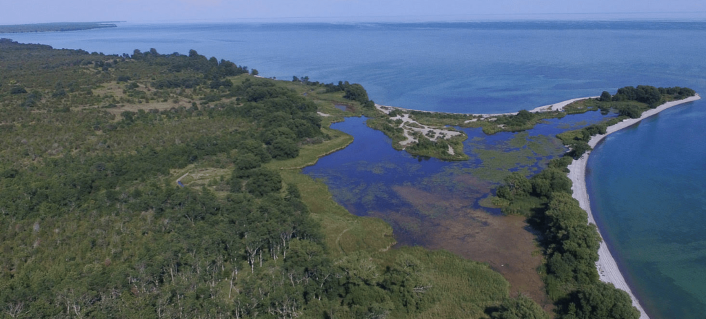 <p>Charwell Point, part of the newly designated Monarch Point Conservation Reserve. (Phil Norton/For the Gazette)</p>
