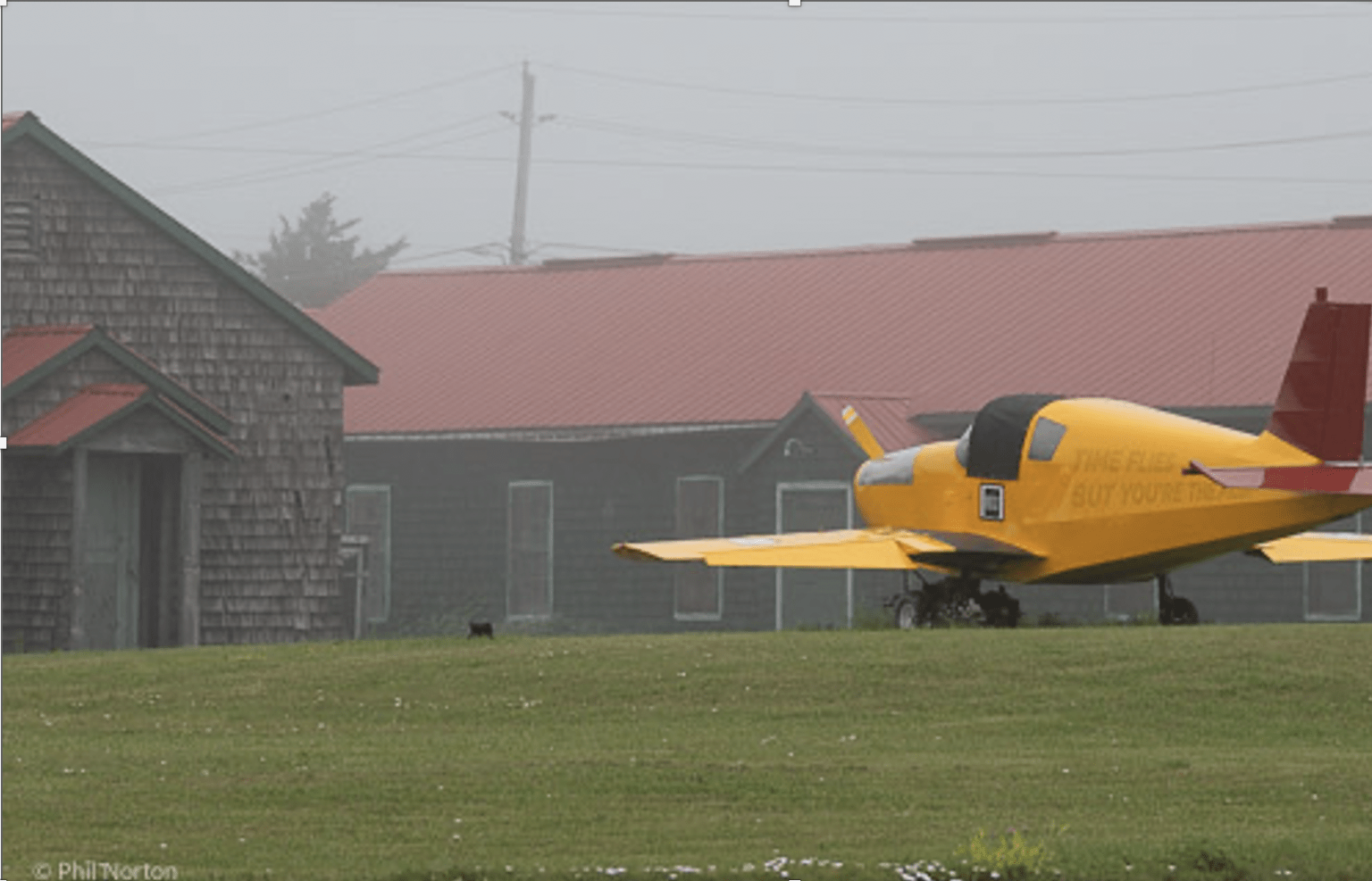 <p>(Phil Norton/Special to the Gazette)</p>
