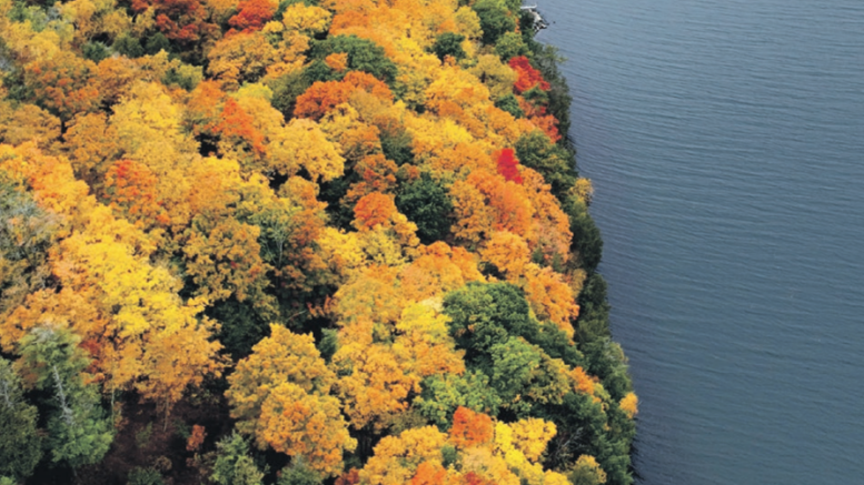 <p>NEW HORIZONS Fall colours over Adolphus Reach (Michael Rayias for the Picton Gazette)</p>
