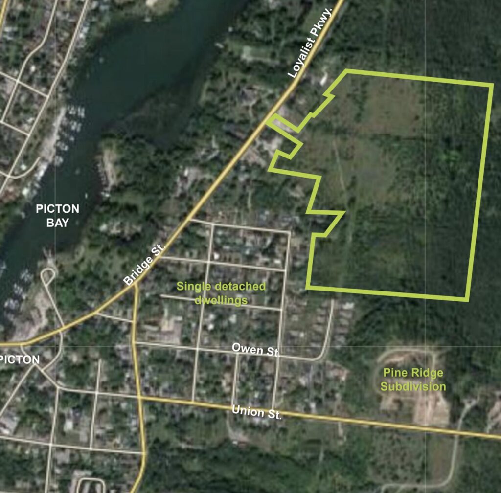 <p>A mix of 199-352 new homes are planned for a 54 acre site southeast of Picton. (Hilden Homes planning graphic)</p>

