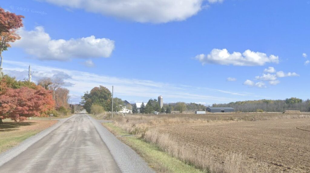 <p>Royal Road (Photo: Google Maps)</p>
