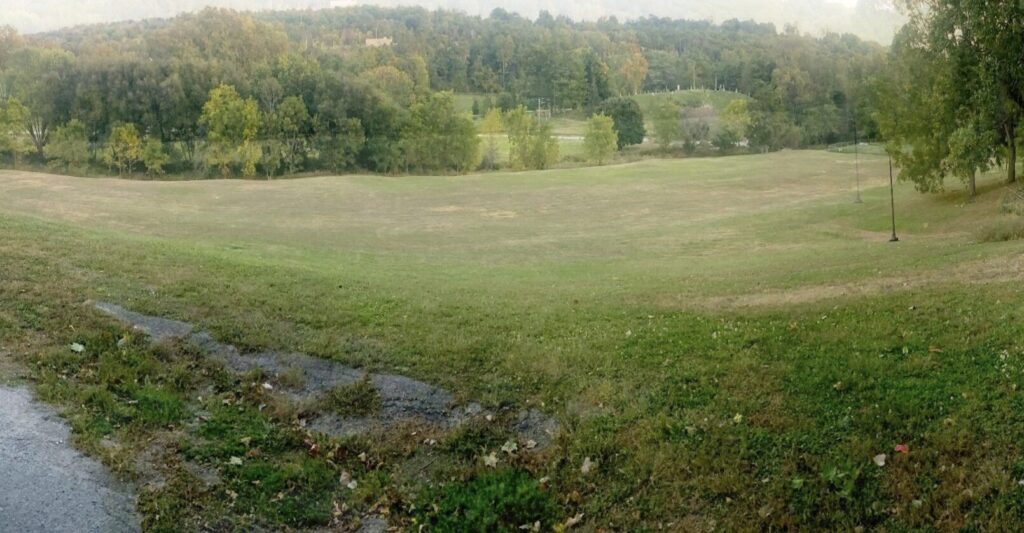 <p>Delhi Park (Supplied Photo)</p>
