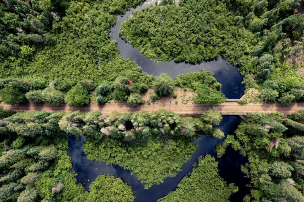 <p>(EOWC Supplied photo)</p>
