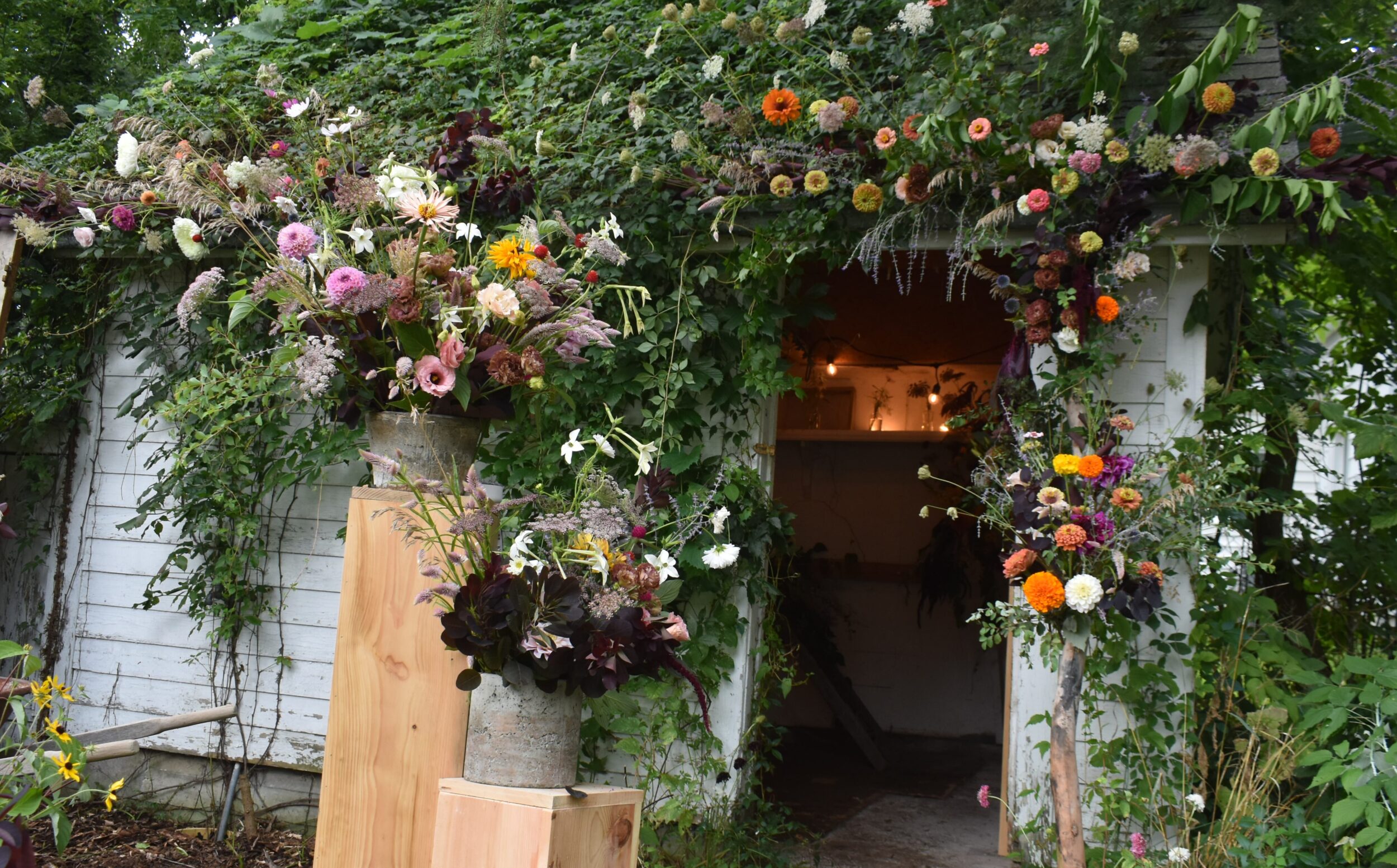 <p>Flowering Wild 2024 (Photo: Jason Parks)</p>
