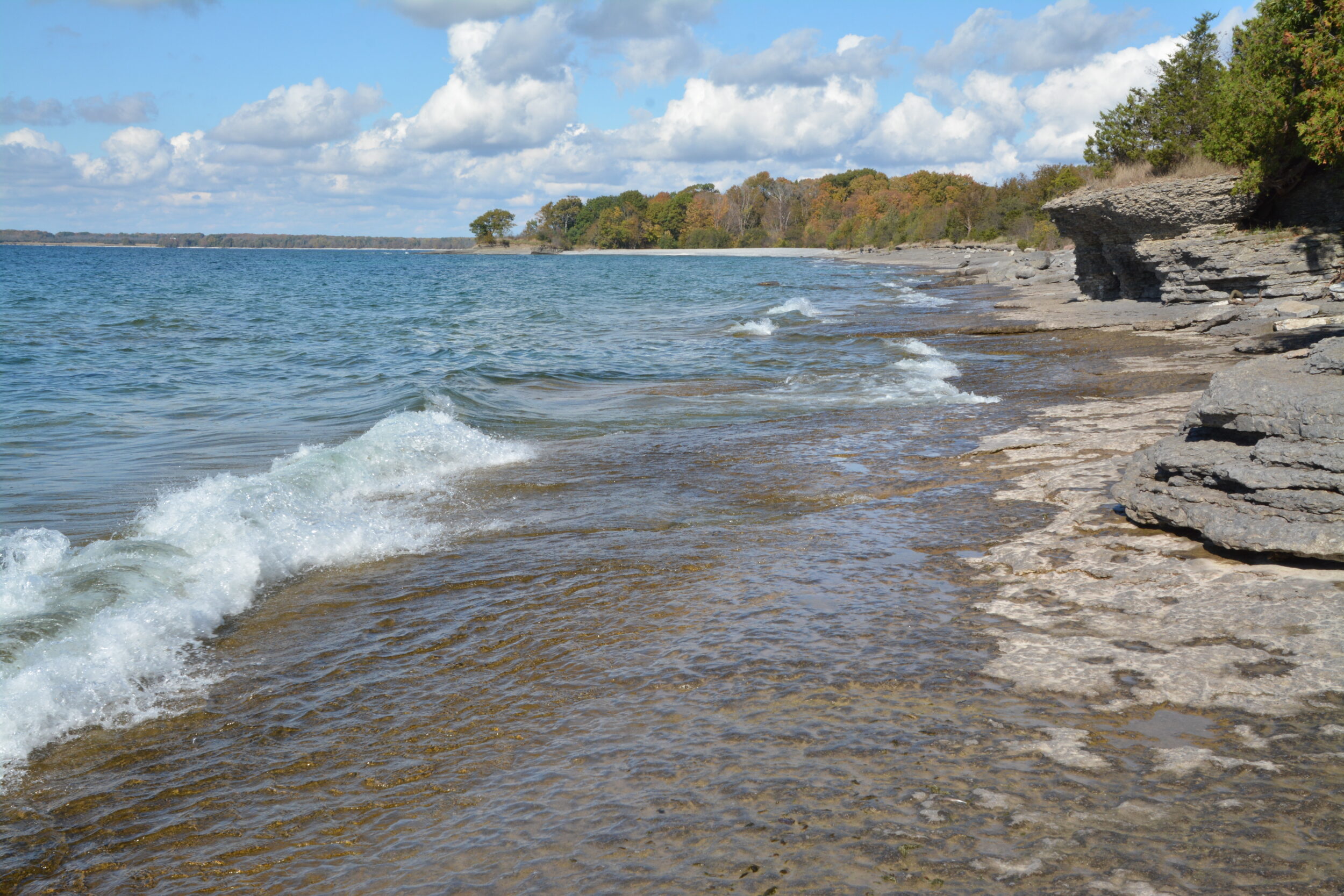 <p>(Peggy deWitt photo)</p>
