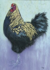 <p>Candice Woodard, Taz, Cedar View Farms PEC. Pastel. (Photo: Candice Woodard)</p>
