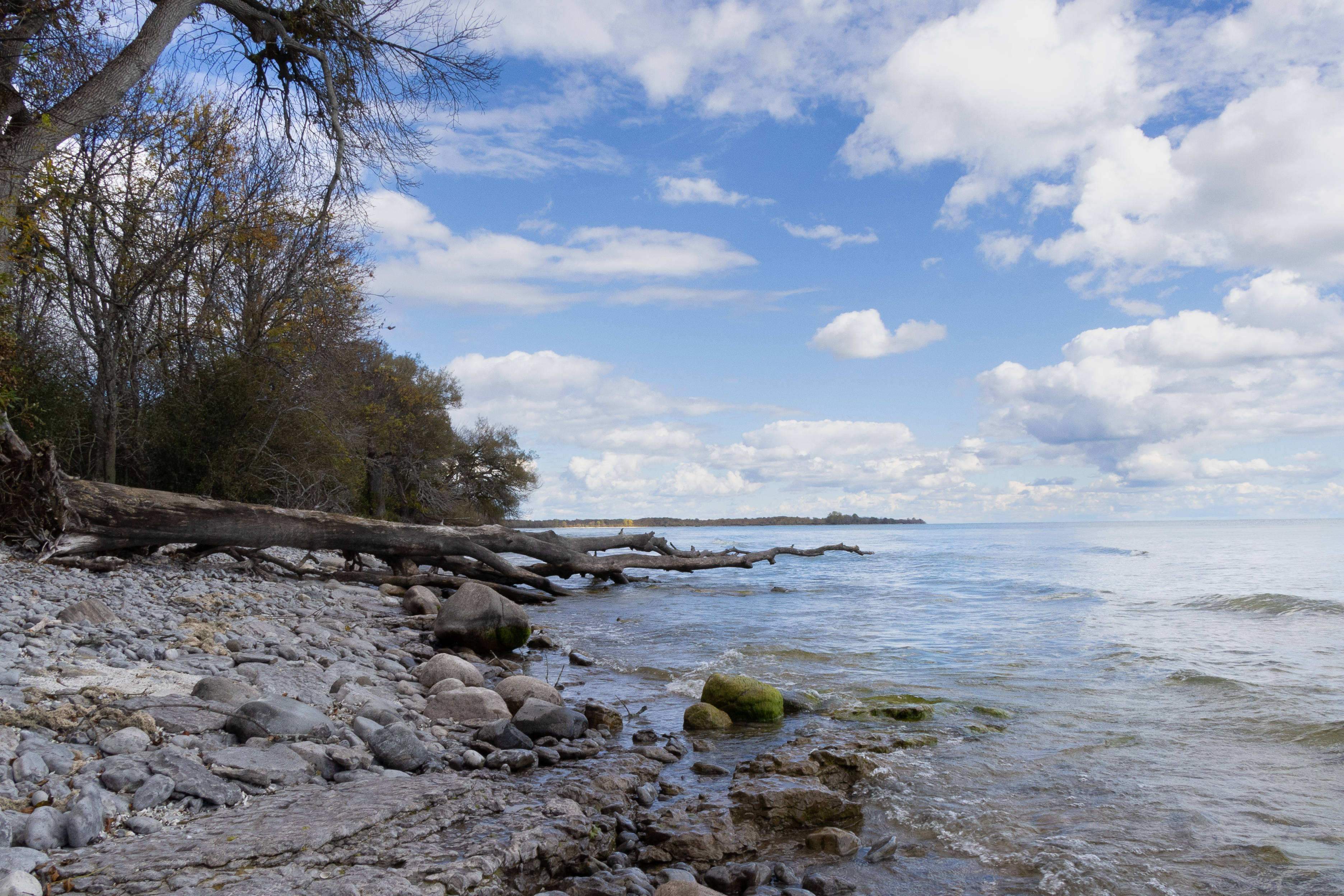<p>Hilltop Road, Dacombe property, photo by Patricia Prelich</p>

