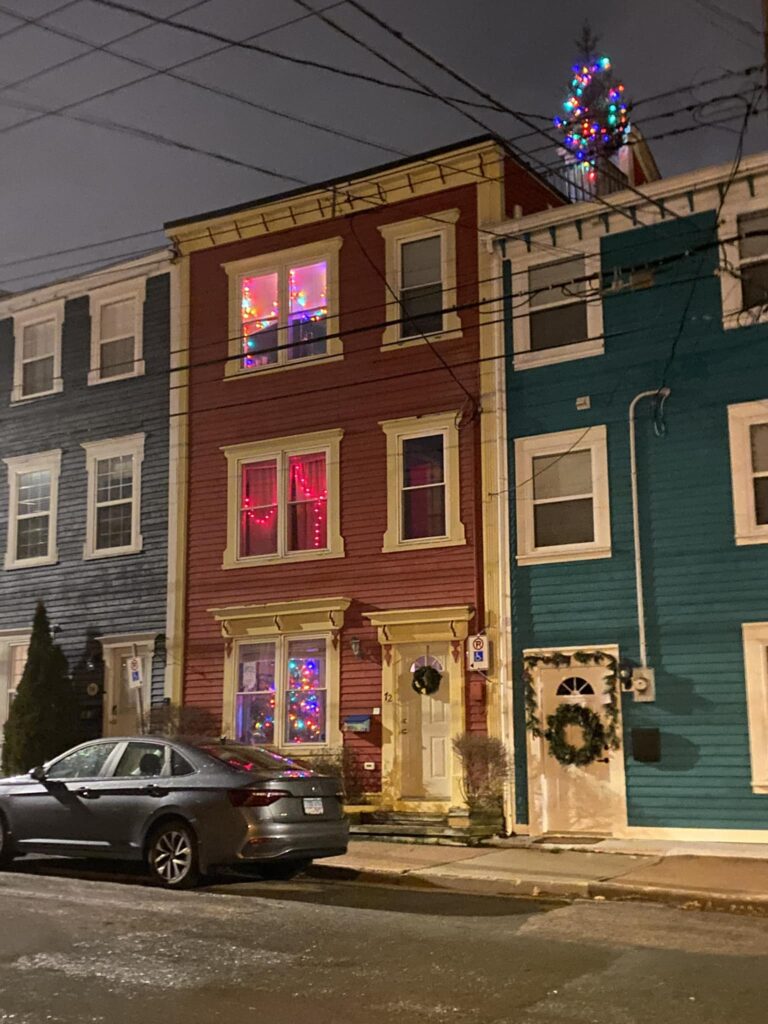 <p>The tree on Terry Goldie’s roof in St. John’s (Photo: Terry Goldie)</p>

