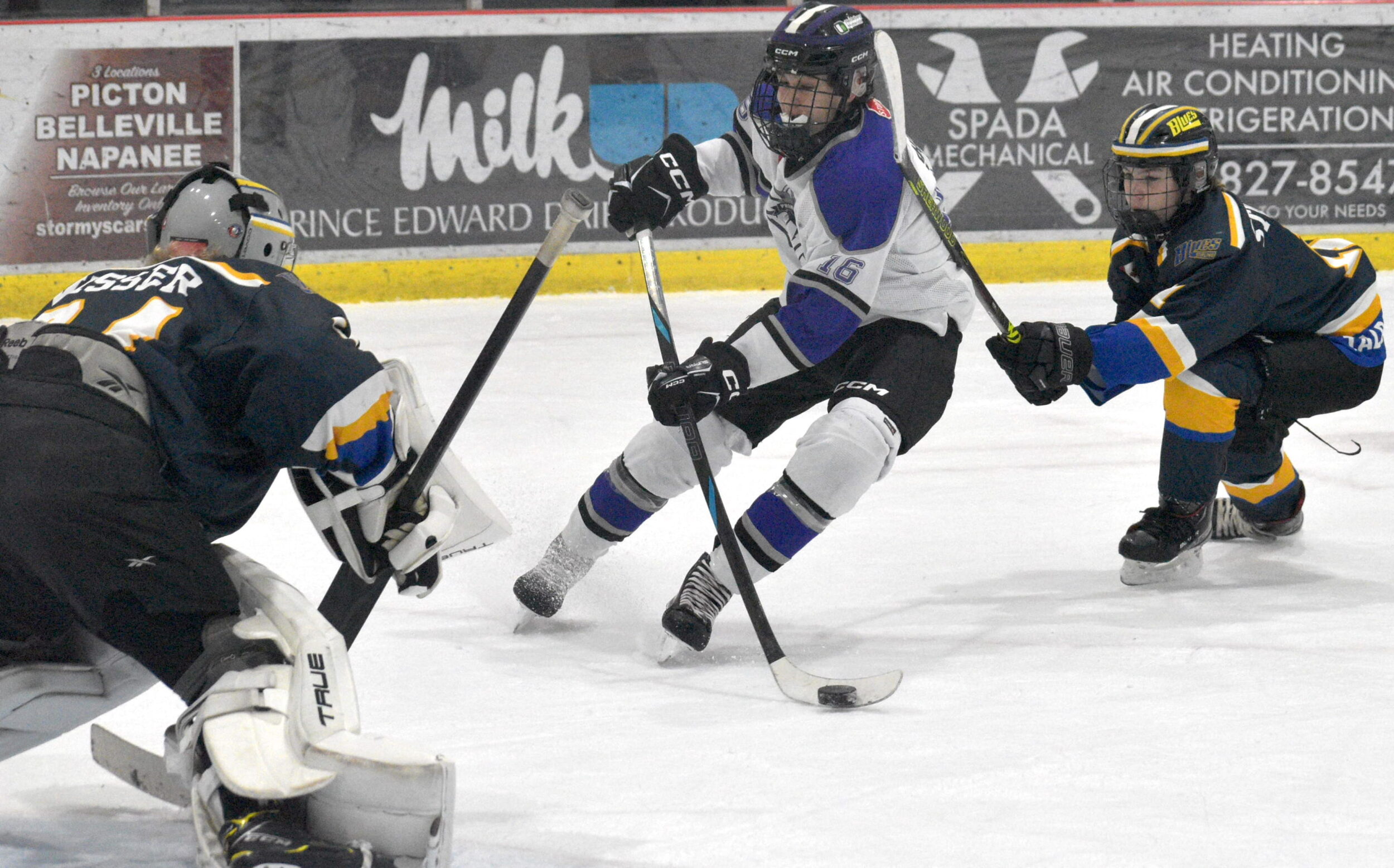 <p>Forward Alex Shields breaks to the Stirling net during the U15 Heidelberg Materials Kings 4-1 win over the Blues Sunday (Jason Parks/Gazette Staff)</p>
