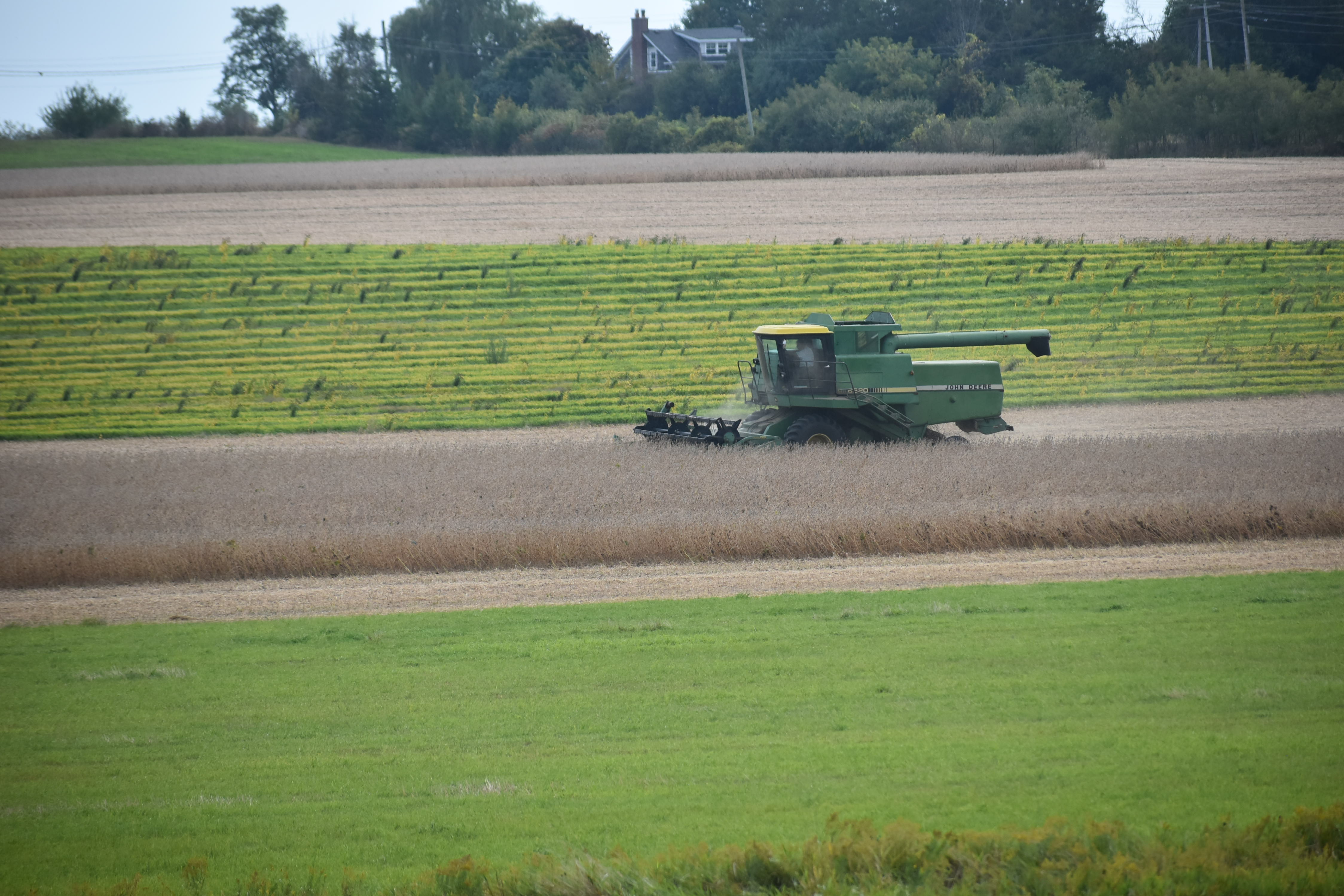 <p>Ameliasburgh soybean harvest. (Jason Parks/Gazette Staff)</p>
