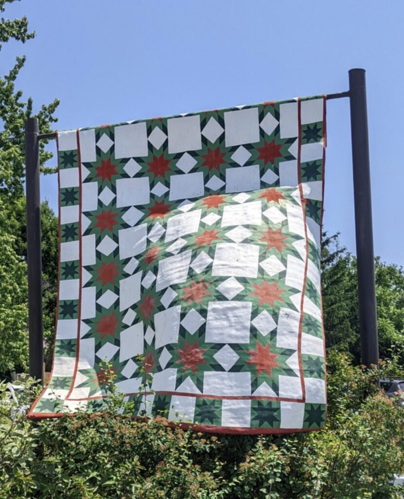 <p>Bloomfield Star by Laurie McGugan (Photo Supplied)</p>
