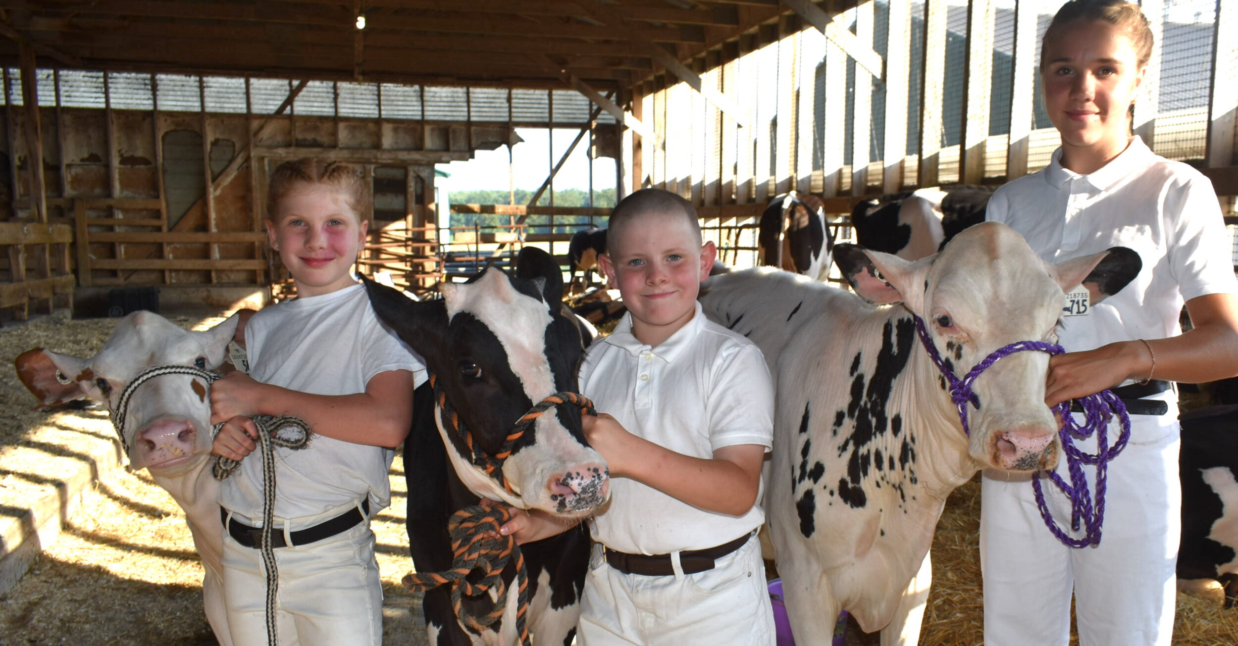 <p>Prince Edward 4H Dairy Club members (From left)  Addison Koopmans, Russell Courneyea and Lenna Chapman with their calves ahead of the 2025 Twlight Meeting at Goreland Farms in Ameliasburgh. (Jason Parks/Gazette Staff) </p>
