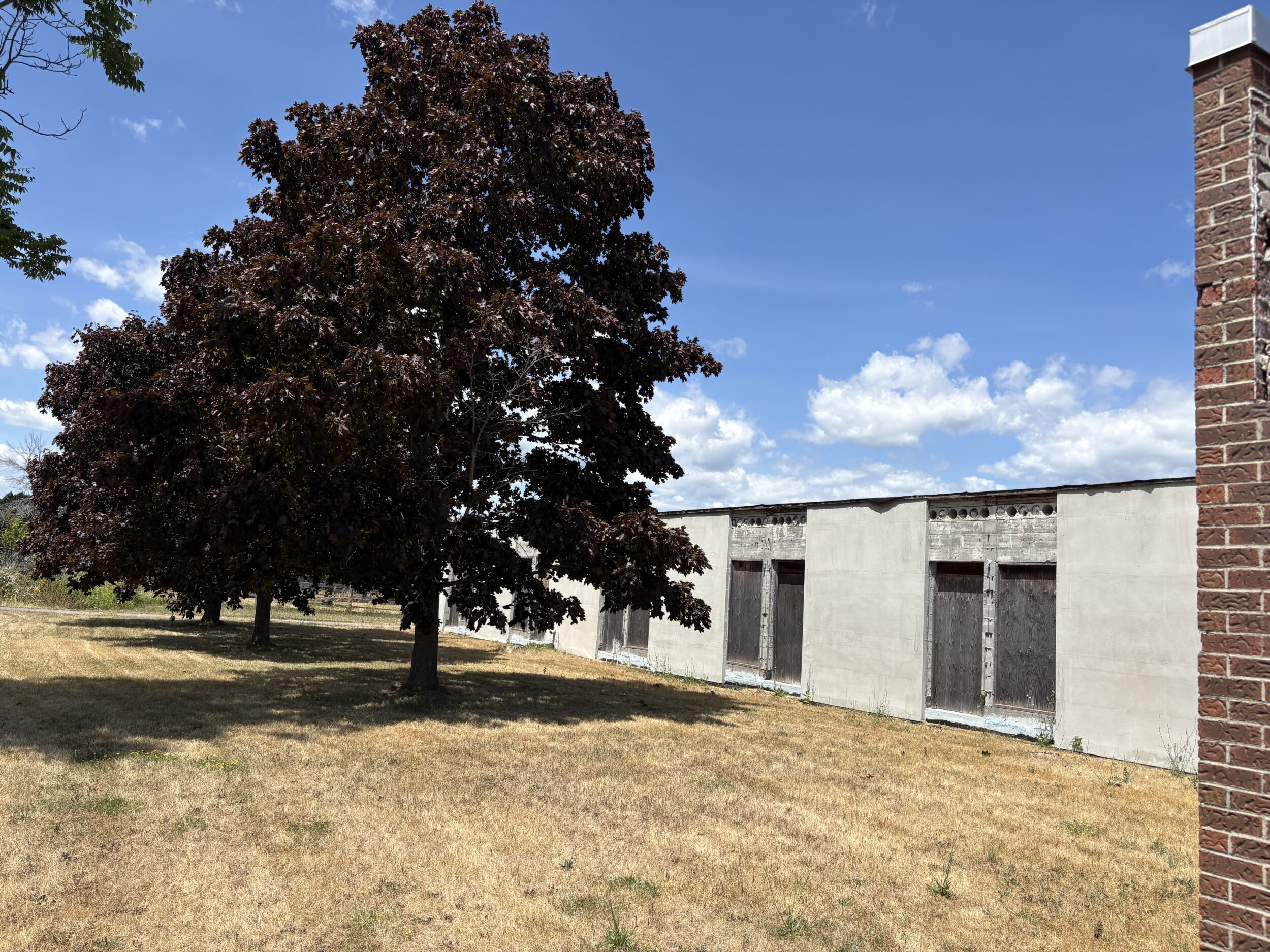 <p>The developers have promised to retain as many mature trees on the property as possible. The new build will stick to the existing footprint.</p>
