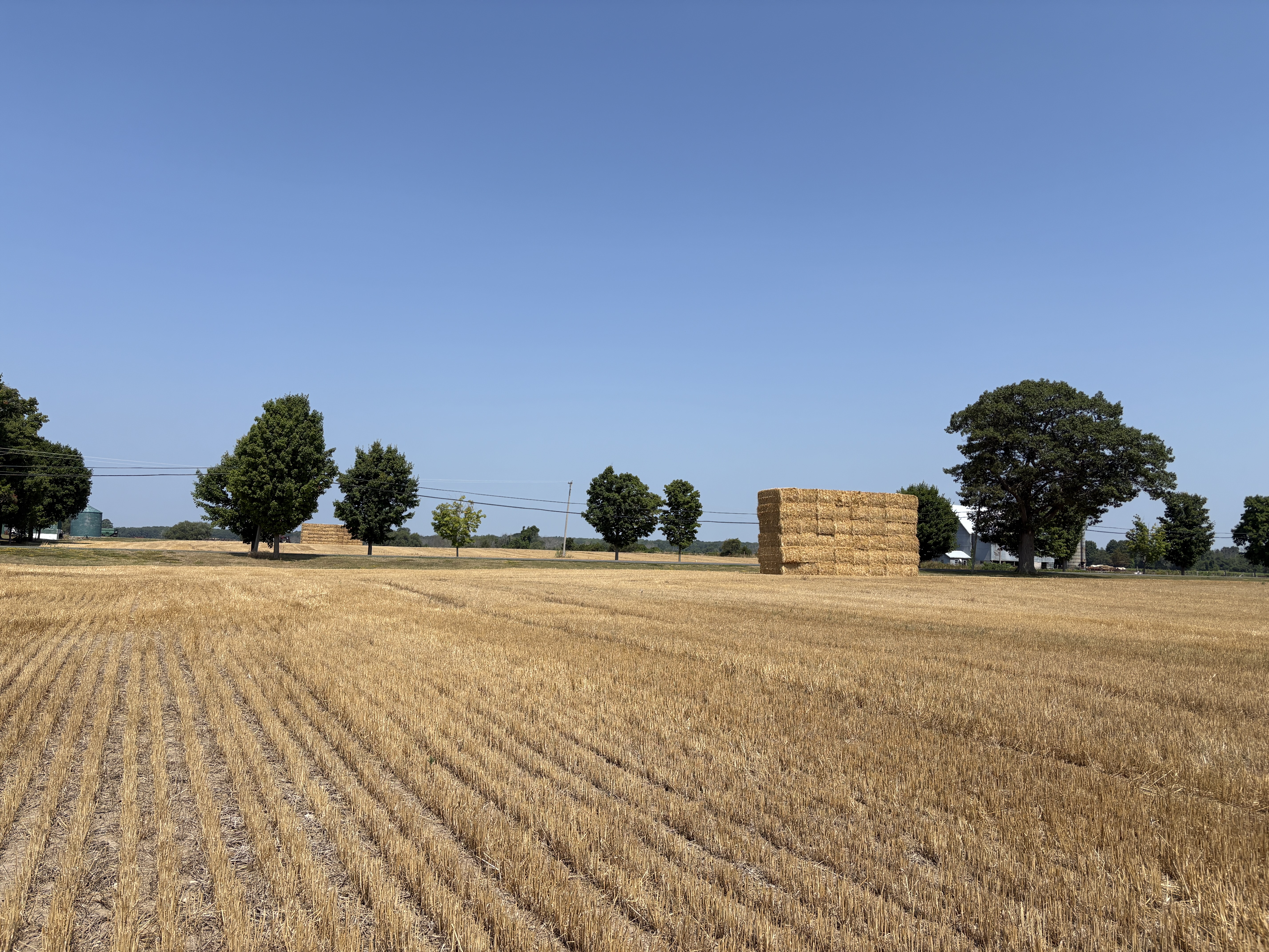 <p>Deep gold stubble fields on County Road 8 in Waupoos: the colour of the County in Summer 2025. (Karen Valihora/Gazette Staff)</p>

