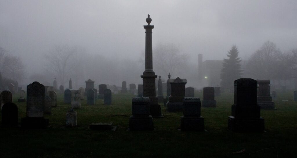 <p>Photo by Jed Tallo</p>
