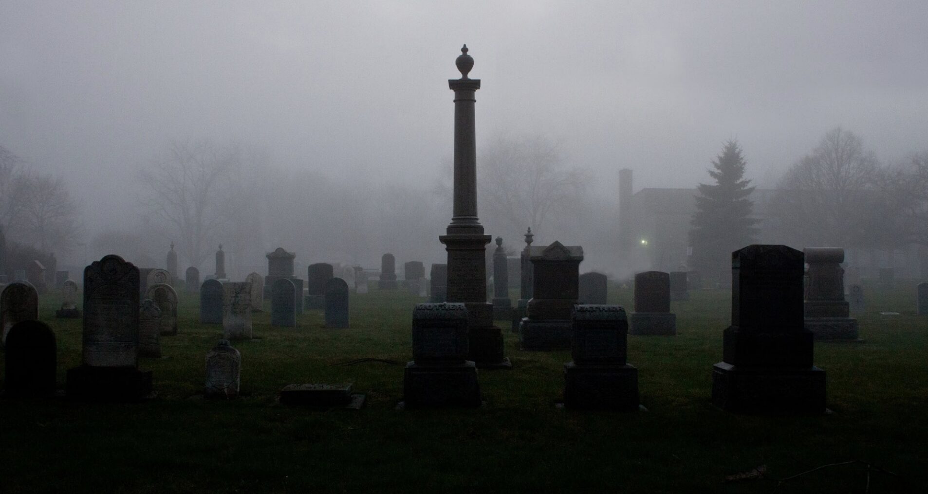 <p>Photo by Jed Tallo</p>