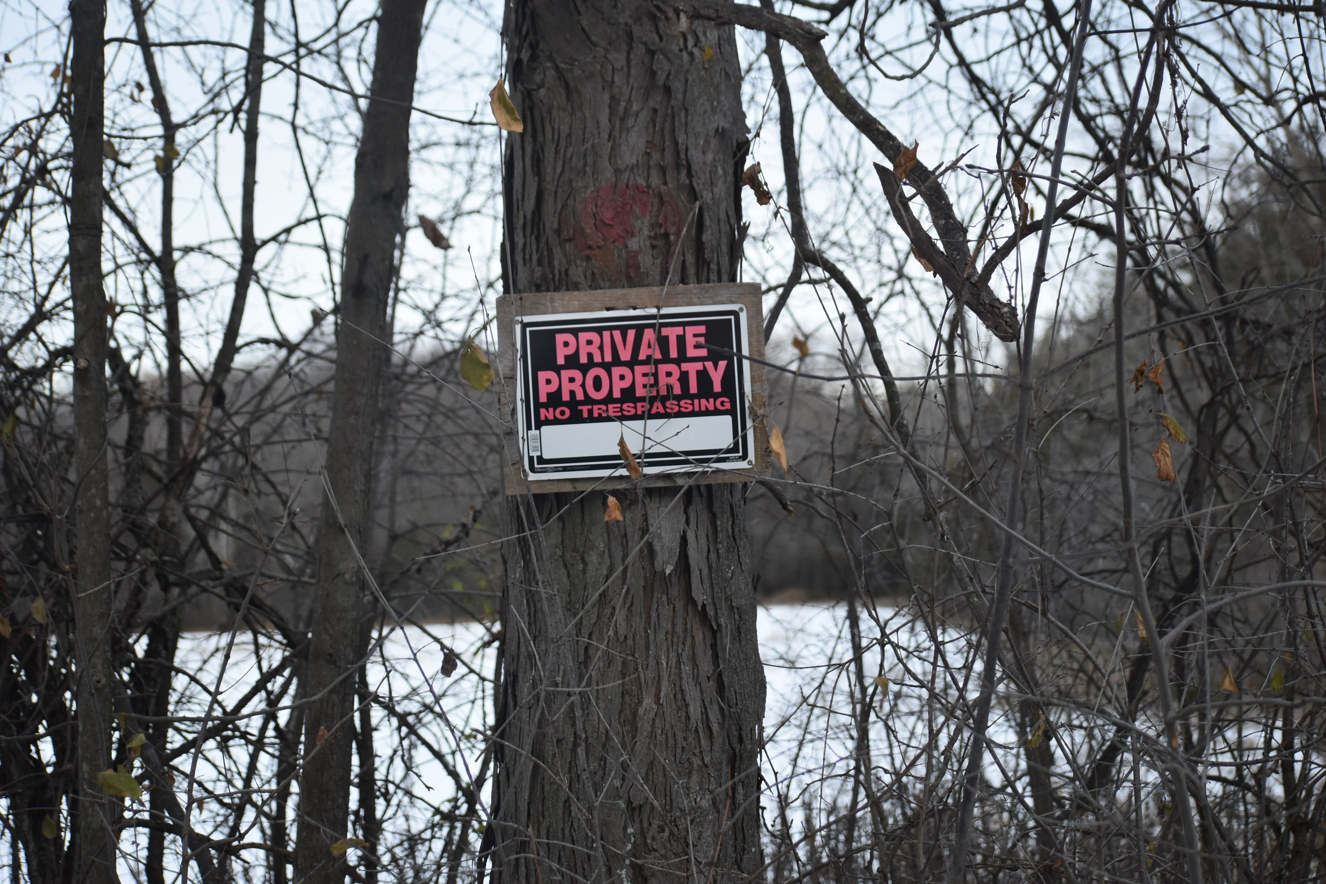 <p>Private property along Foster Road in Sophiasburgh. (Jason Parks/Gazette Staff)</p>
