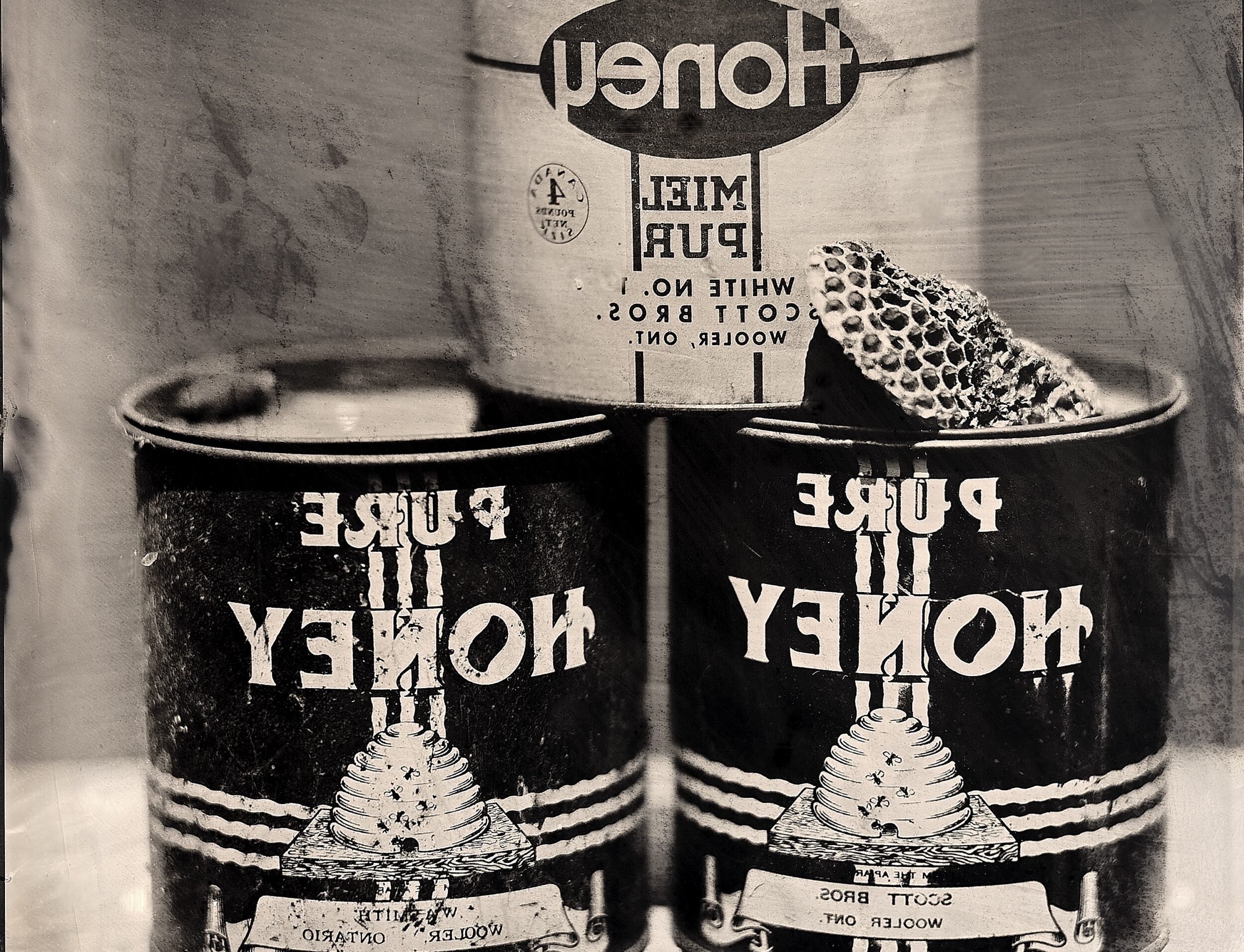 <p>Paul Elter, Original Wetplate Collodion Image (cropped from 8”x10” original plate). </p>
