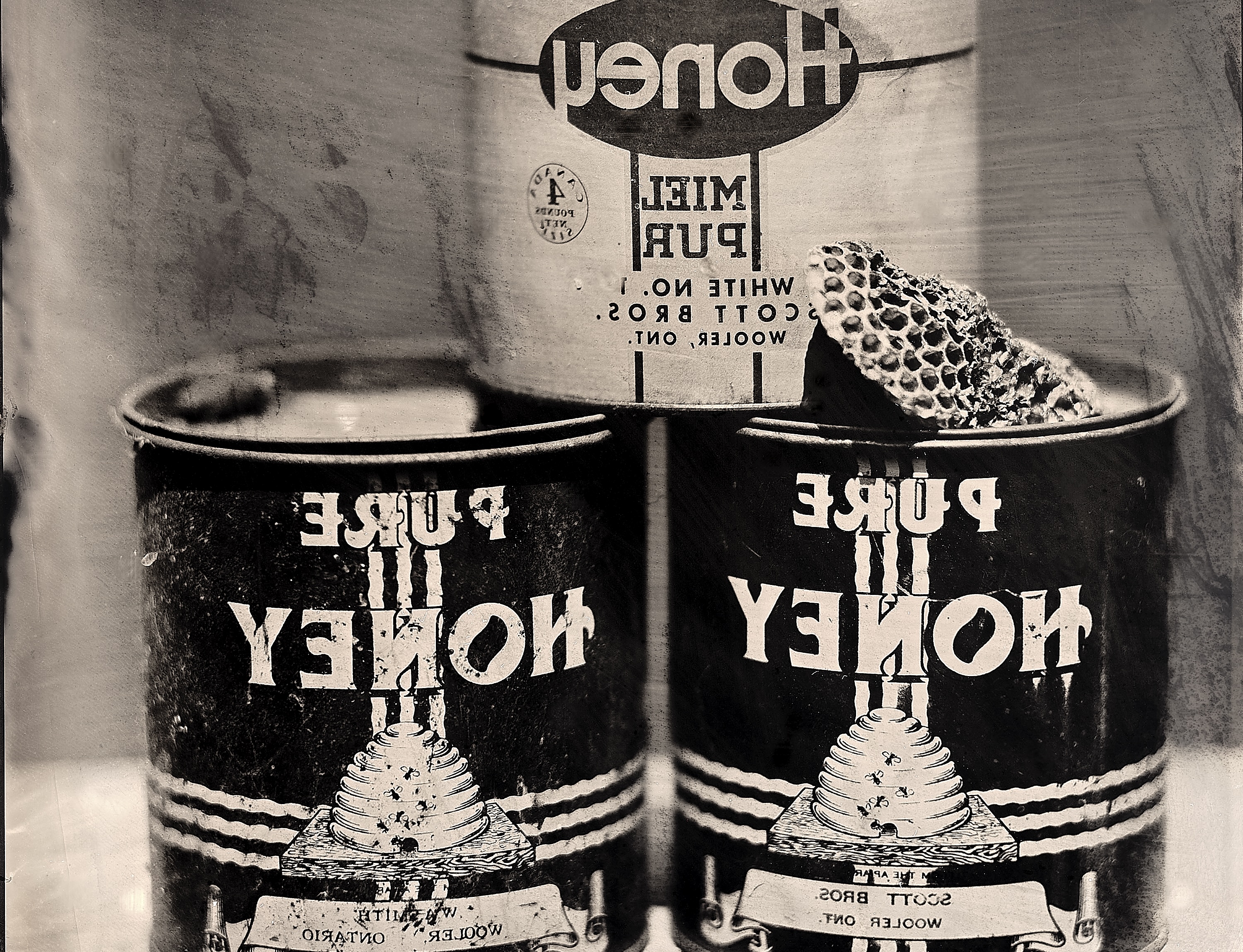 <p>Paul Elter, Original Wetplate Collodion Image (cropped from 8”x10” original plate). </p>
