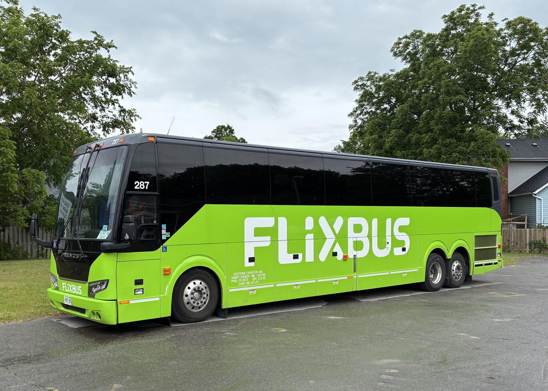 <p>FlixBus on Picton Main Street (Photo: Chris Fanning)</p>
