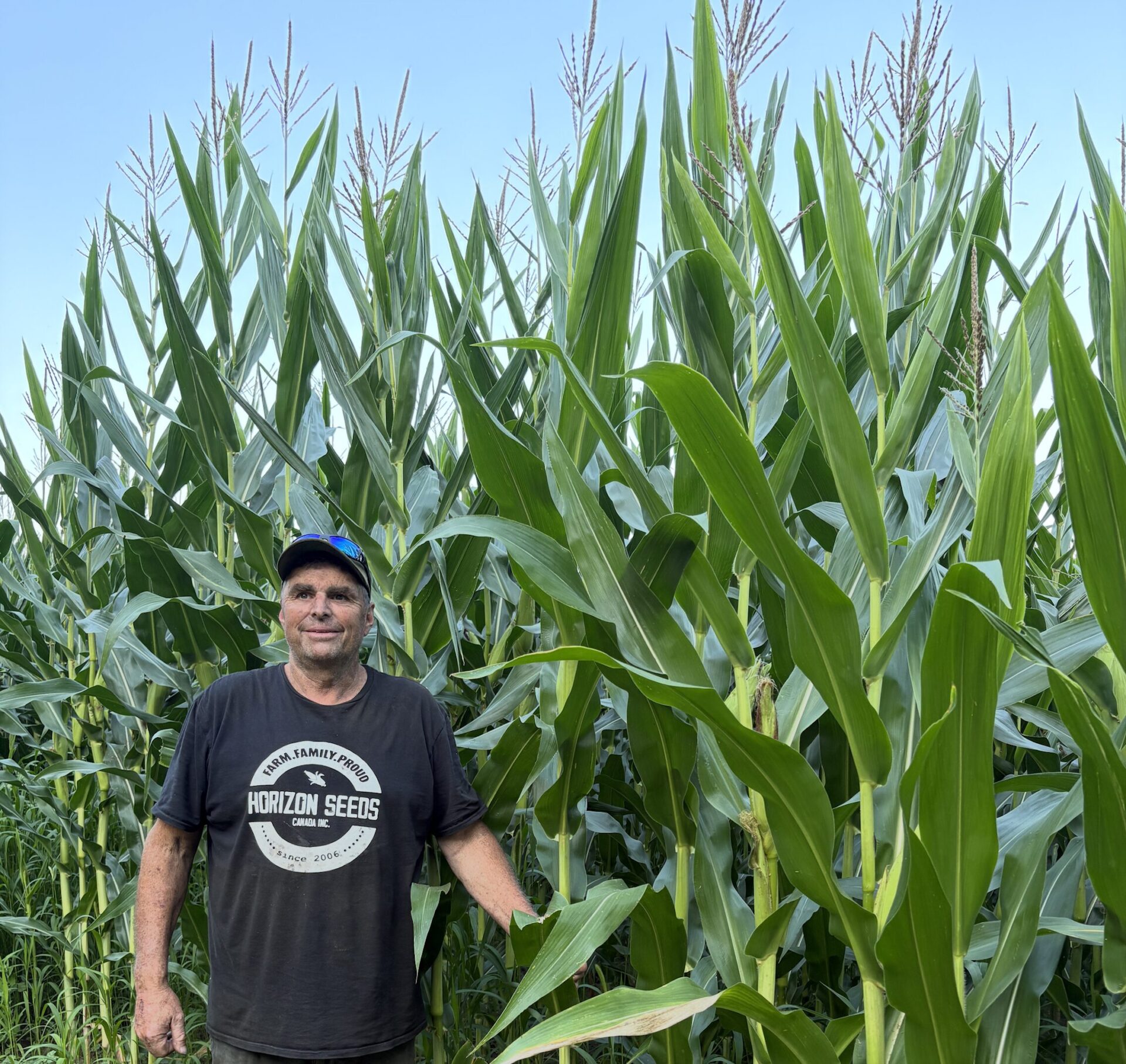 <p>”The corn’s really impressive this year,” says Cressy farmer Todd Burley.<br />
“Anything’s better than last year. We’ve had rain!” (Karen Valihora/Gazette Staff)</p>
