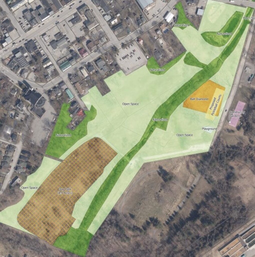 <p>A rendering of the location of the six pickleball courts slated for Delhi Park.</p>
