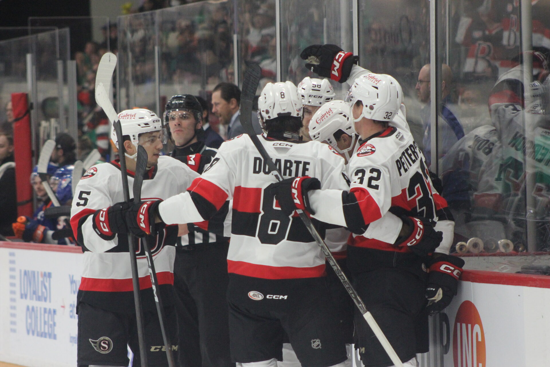 <p>The Belleville Senators celebrate during a 3-2 shootout win over the Rochester Americans. Photo by Josh Thomas/Gazette Staff</p>